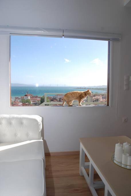 360ᵒ Lepanto Apartment Nafpaktos Ngoại thất bức ảnh