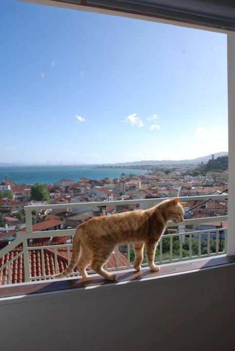 360ᵒ Lepanto Apartment Nafpaktos Ngoại thất bức ảnh